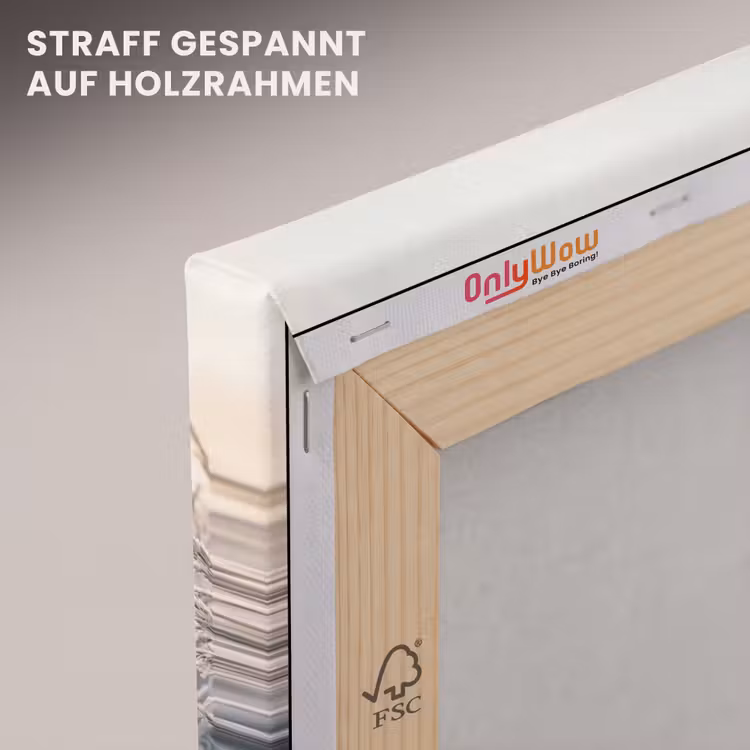 Rijp - Gras - Kristallen - Winter - Minimalistisch canvas 2cm klein -uniquesellingpoint_afwerking-onlywow_DE