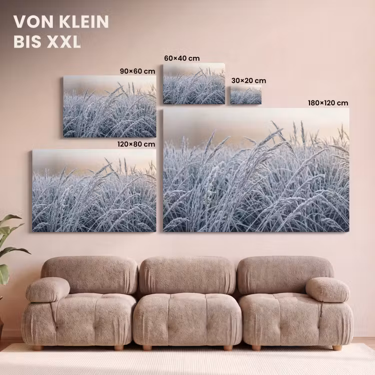Rijp - Gras - Kristallen - Winter - Minimalistisch canvas 2cm klein -Xsfeer8_DE