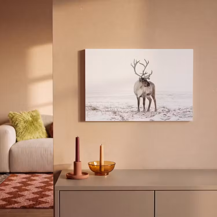 Rendier - Gewei - Sneeuw - Winter canvas 2cm klein -sfeer1