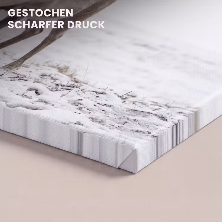 Rendier - Gewei - Sneeuw - Winter canvas 2cm klein -closeup_print_DE