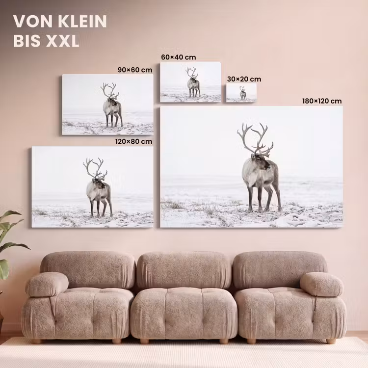Rendier - Gewei - Sneeuw - Winter canvas 2cm klein -Xsfeer8_DE