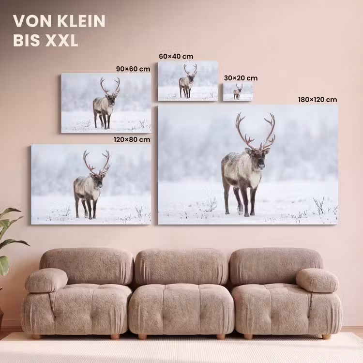 Rendier - Gewei - Toendra - Sneeuw - Wild canvas 2cm klein -Xsfeer8_DE