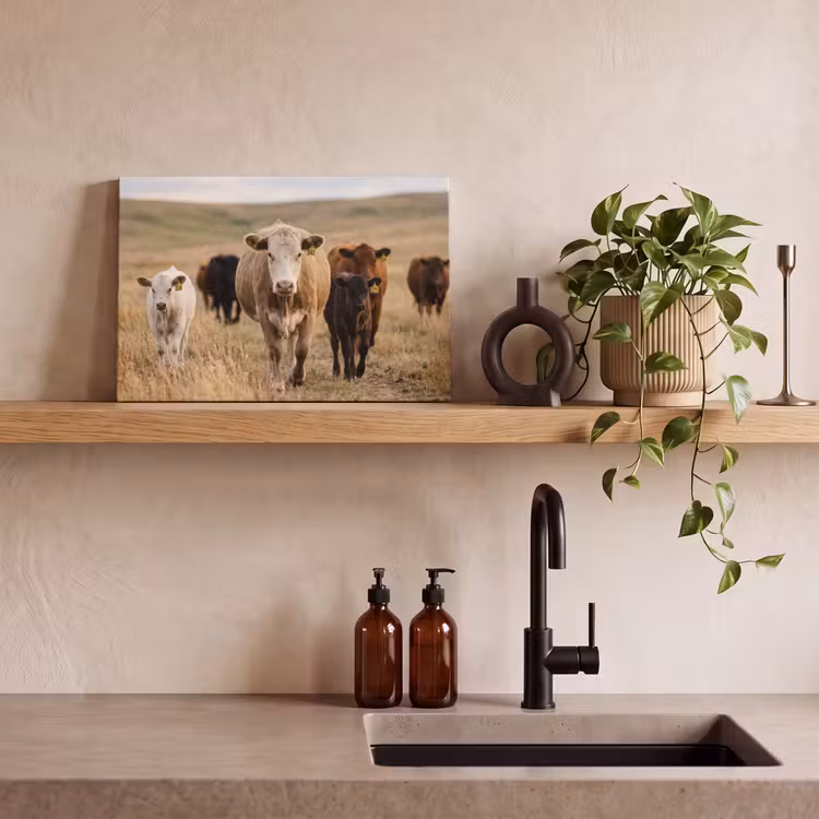 Runderen - Kudde - Landschap - Weide - Rustig canvas 2cm klein -closeup_print_DE