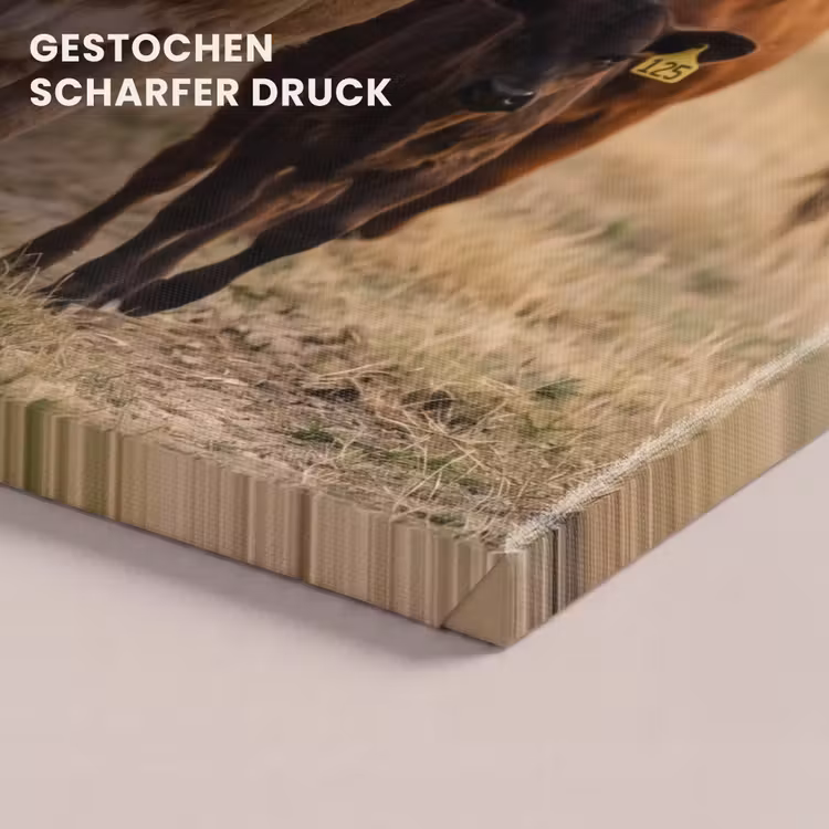 Runderen - Kudde - Landschap - Weide - Rustig canvas 2cm klein -uniquesellingpoint_afwerking-onlywow_DE