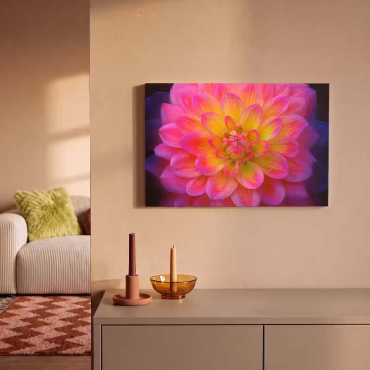Roze - Dahlia - Kleurrijk canvas 2cm klein -sfeer1