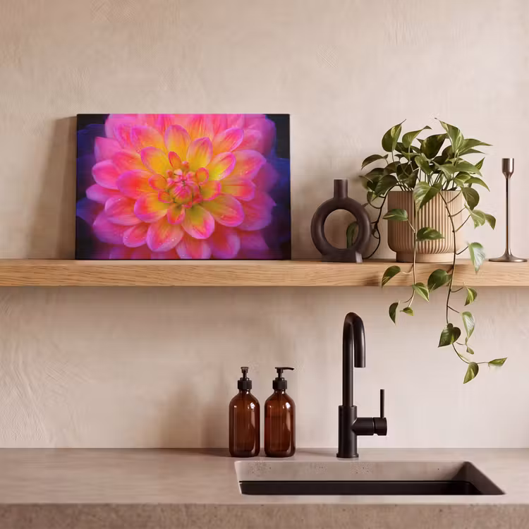 Roze - Dahlia - Kleurrijk canvas 2cm klein -sfeer3