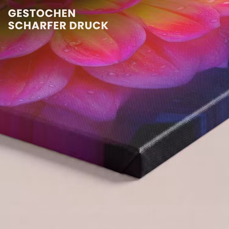 Roze - Dahlia - Kleurrijk canvas 2cm klein -uniquesellingpoint_afwerking-onlywow_DE