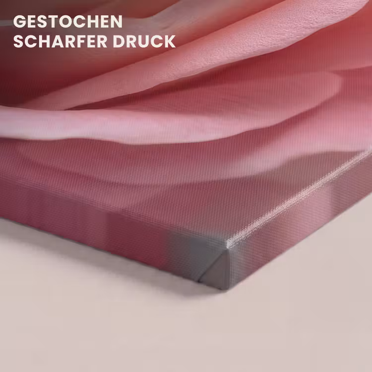 Roze - Roos - Romantisch canvas 2cm klein -uniquesellingpoint_afwerking-onlywow_DE
