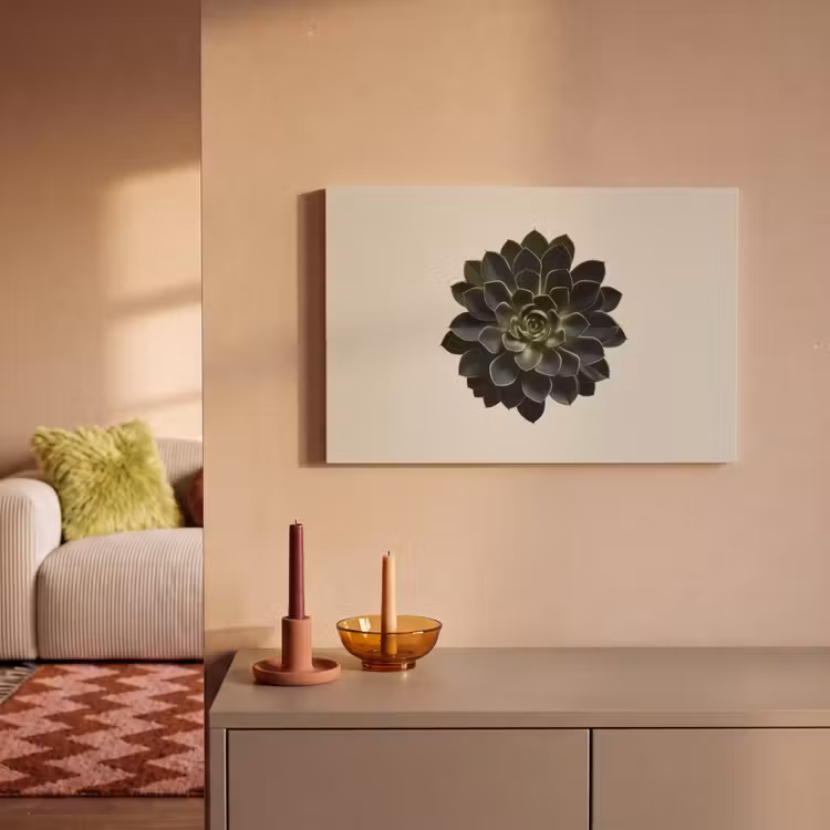Rozet - Cirkelvormig - Donkergroen canvas 2cm klein -sfeer1