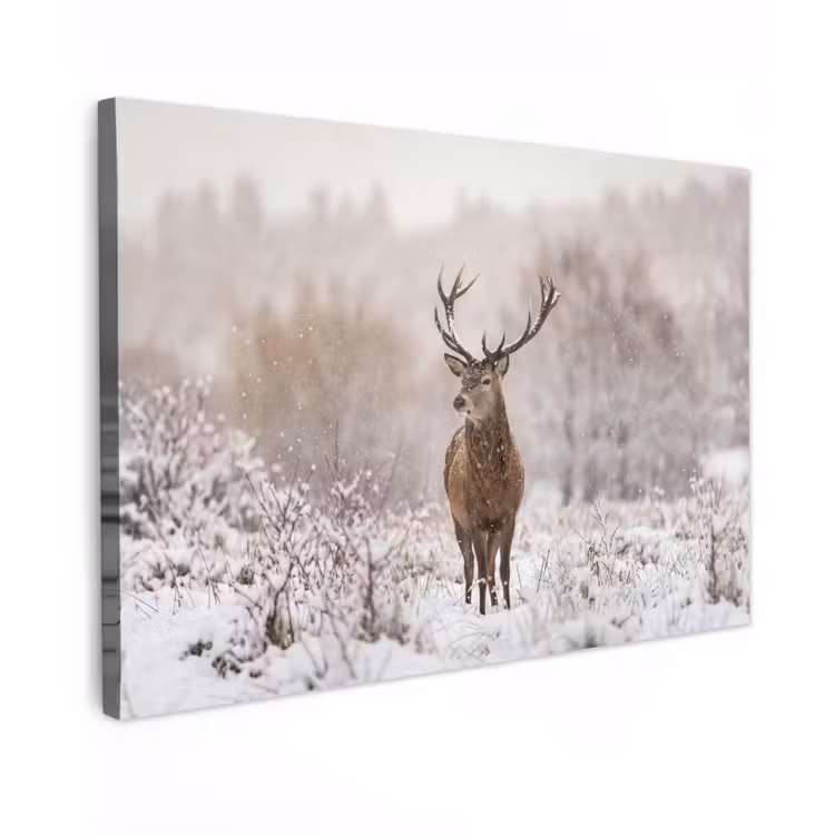 Edelhert - Bos - Sneeuw - Winter - Majestueus canvas 2cm klein -z3d
