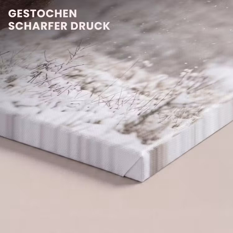 Edelhert - Bos - Sneeuw - Winter - Majestueus canvas 2cm klein -uniquesellingpoint_afwerking-onlywow_DE