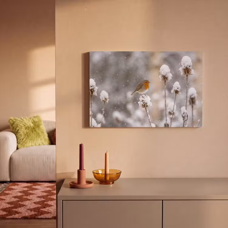 Roodborstje - Gedroogde bloem - Sneeuw - Winter - Vertederend canvas 2cm klein -sfeer1