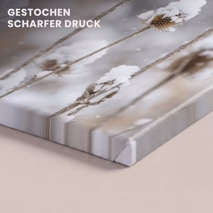 Roodborstje - Gedroogde bloem - Sneeuw - Winter - Vertederend canvas 2cm klein -uniquesellingpoint_afwerking-onlywow_DE