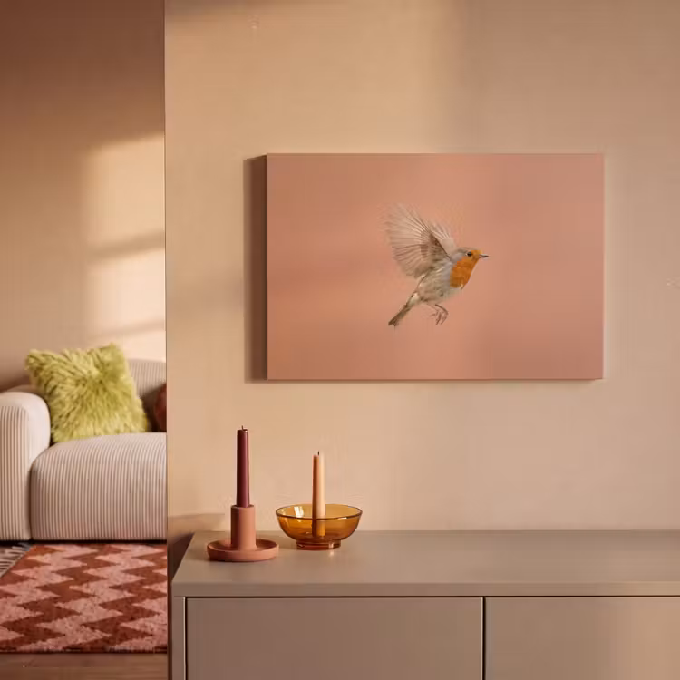 Roodborst - Natuur - Roze canvas 2cm klein -sfeer1