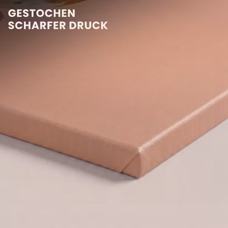 Roodborst - Natuur - Roze canvas 2cm klein -uniquesellingpoint_afwerking-onlywow_DE