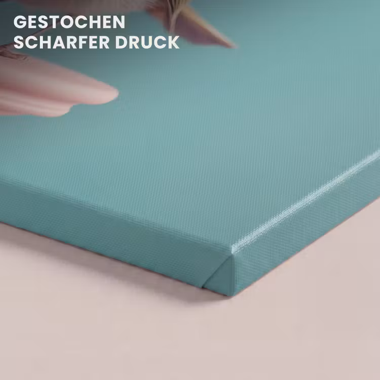 Roodborstje - Vogel - Koksmuts - Sokkel canvas 2cm klein -uniquesellingpoint_afwerking-onlywow_DE