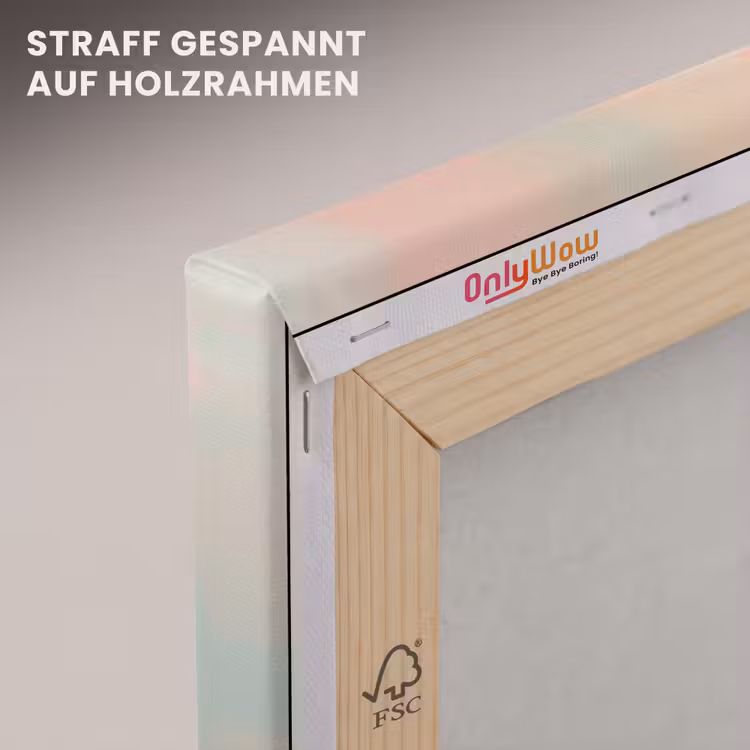 Roodborstjes - Sierlijk - Bloesemtak canvas 2cm klein -uniquesellingpoint_afwerking-onlywow_DE