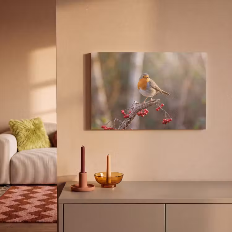 Roodborst - Tak - Bessen - Natuur canvas 2cm klein -sfeer1