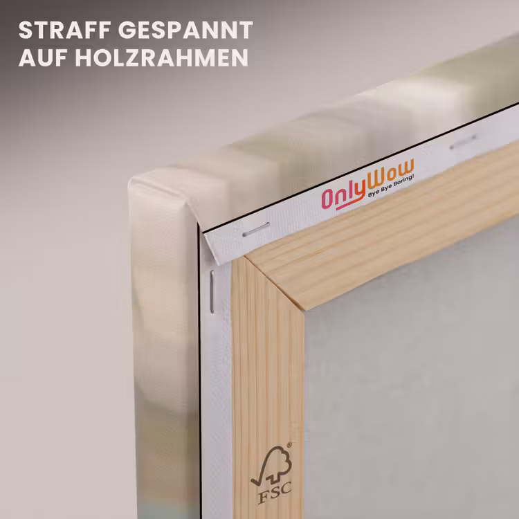 Roodborst - Tak - Bessen - Natuur canvas 2cm klein -uniquesellingpoint_afwerking-onlywow_DE