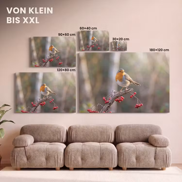 Roodborst - Tak - Bessen - Natuur canvas 2cm klein -Xsfeer8_DE