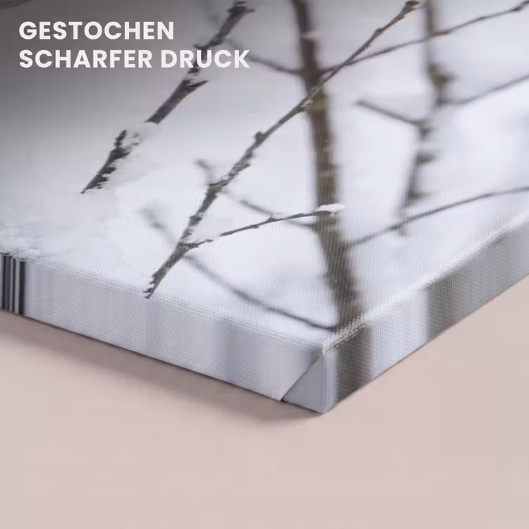 Roodborstje - Tak - Sneeuw - Winter - Levendig canvas 2cm klein -uniquesellingpoint_afwerking-onlywow_DE