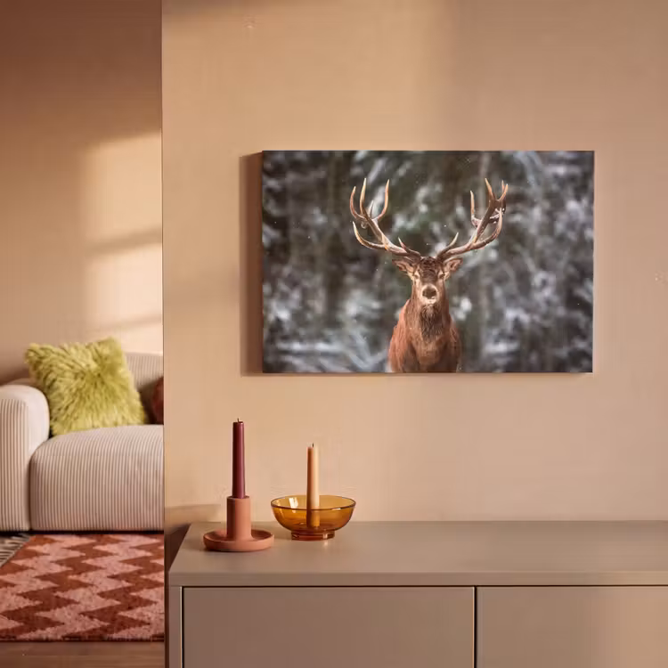Hert - Winter - Sneeuw - Bos - Natuur - Dier canvas 2cm klein -sfeer1