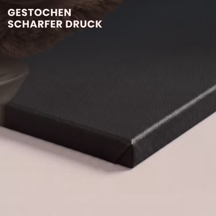 Schaap - Wol - Kok canvas 2cm klein -closeup_print_DE