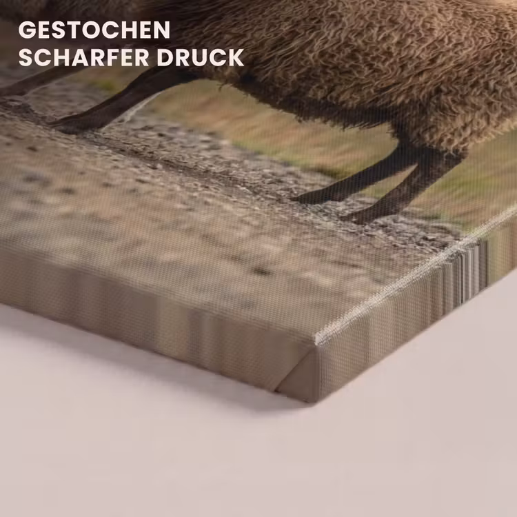 Schapen - Bruin - Wit - Grindpad canvas 2cm klein -uniquesellingpoint_afwerking-onlywow_DE