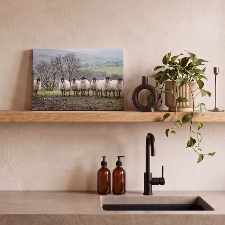 Schapen - Rij - Weide - Dieren - Platteland canvas 2cm klein -sfeer6