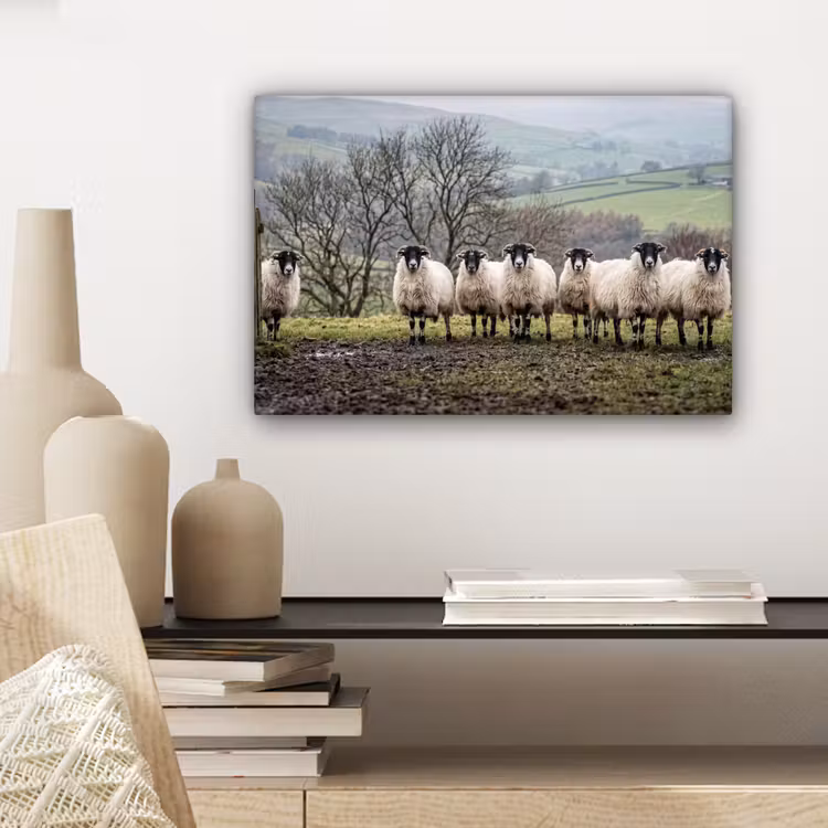 Schapen - Rij - Weide - Dieren - Platteland canvas 2cm klein -closeup_print_DE