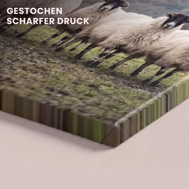 Schapen - Rij - Weide - Dieren - Platteland canvas 2cm klein -uniquesellingpoint_afwerking-onlywow_DE