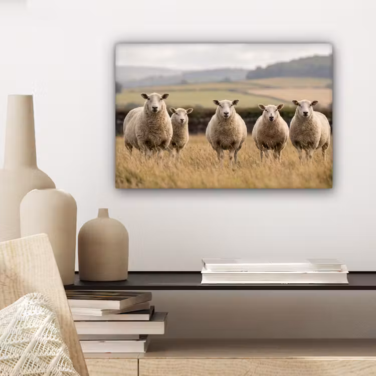Schapen - Weidenlandschap - Heuvels canvas 2cm klein -sfeer6