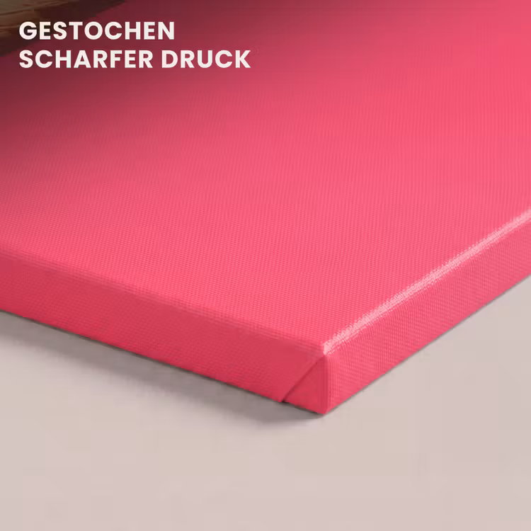 Schepijs - Roze - Hoorntje canvas 2cm klein -uniquesellingpoint_afwerking-onlywow_DE