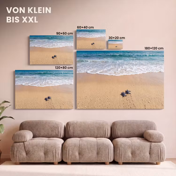 Schildpad - Jong - Strand - Oceaan - Blauw canvas 2cm klein -Xsfeer8_DE