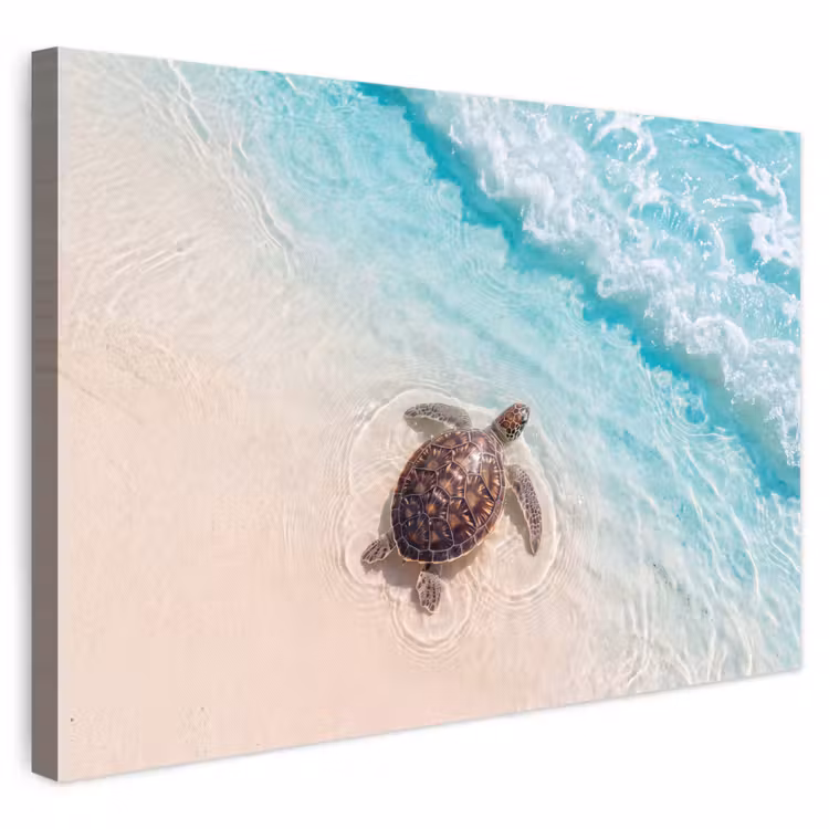 Schildpad - Helder water - Strand - Dieren - Natuur canvas 2cm klein -3d