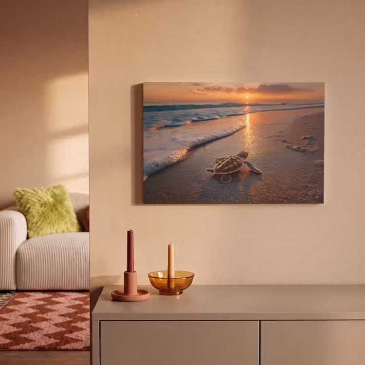 Schildpad - strand - Zonsondergang canvas 2cm klein -sfeer1