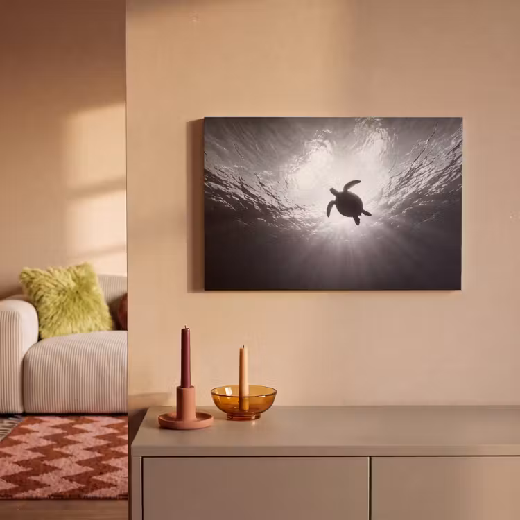 Schildpad - Onderwater - Lichtstralen - Oceaan - Zwart-wit canvas 2cm klein -sfeer1