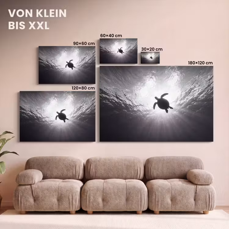 Schildpad - Onderwater - Lichtstralen - Oceaan - Zwart-wit canvas 2cm klein -Xsfeer8_DE