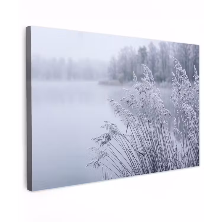 Riet - Bevroren - Winter - Natuur canvas 2cm klein -z3d