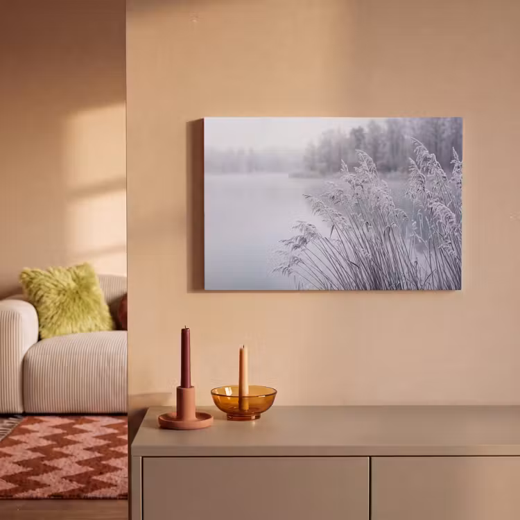 Riet - Bevroren - Winter - Natuur canvas 2cm klein -sfeer1