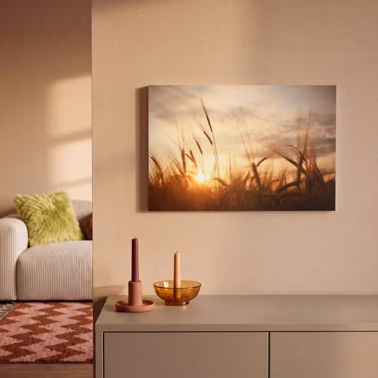 Riet - Gras - Zonsondergang - Natuur - Horizon canvas 2cm klein -sfeer1