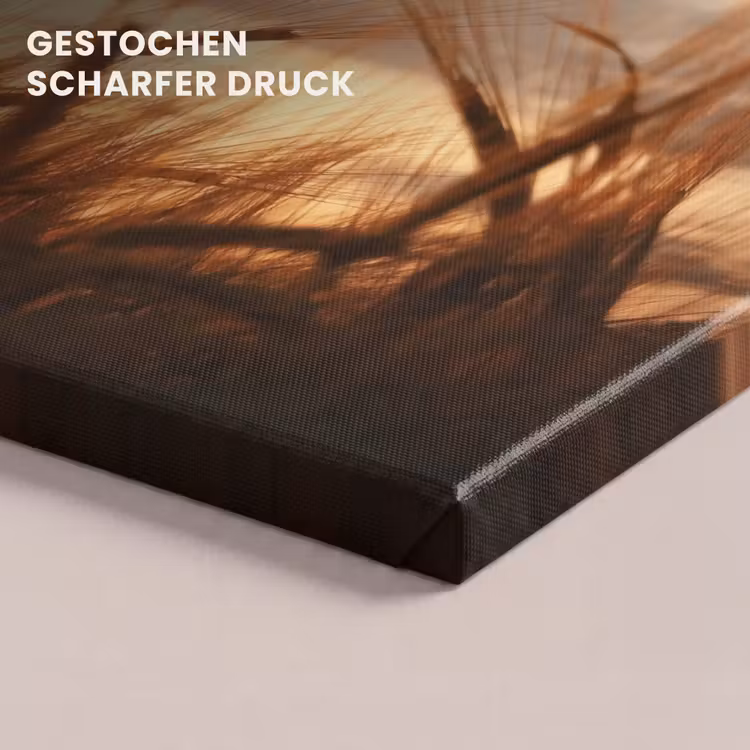 Riet - Gras - Zonsondergang - Natuur - Horizon canvas 2cm klein -closeup_print_DE