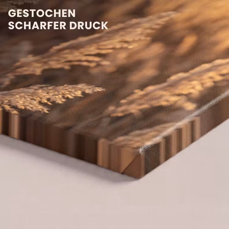 Rietpluimen - Gras - Zonsondergang - Goud - Serene canvas 2cm klein -closeup_print_DE