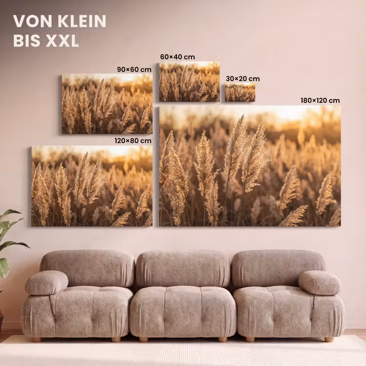 Rietpluimen - Gras - Zonsondergang - Goud - Serene canvas 2cm klein -Xsfeer8_DE