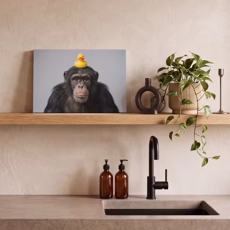 Chimpansee - Badeend - Grijs canvas 2cm klein -closeup_print_DE