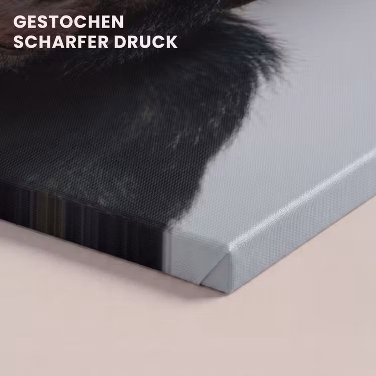 Chimpansee - Badeend - Grijs canvas 2cm klein -uniquesellingpoint_afwerking-onlywow_DE