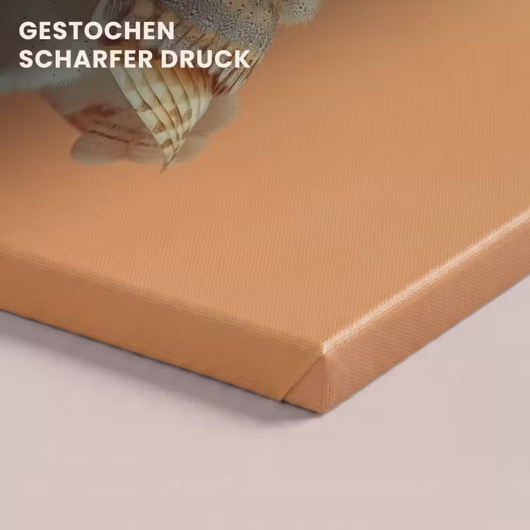 Kerkuil - Koksmuts - Oranje - Vogel canvas 2cm klein -uniquesellingpoint_afwerking-onlywow_DE