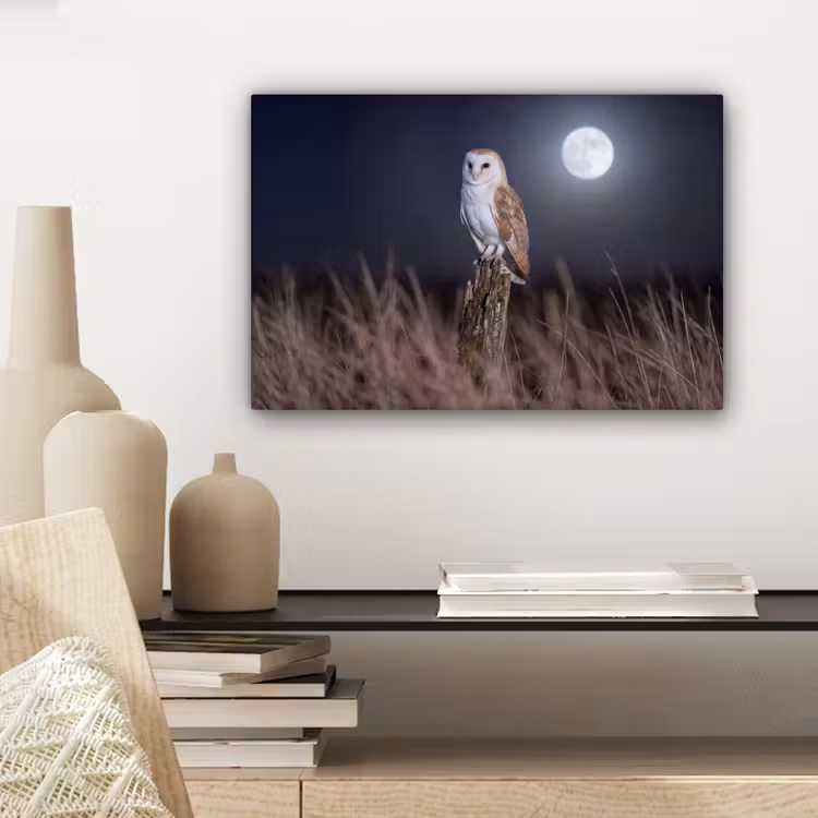 Kerkuil - Maan - Nacht canvas 2cm klein -sfeer6