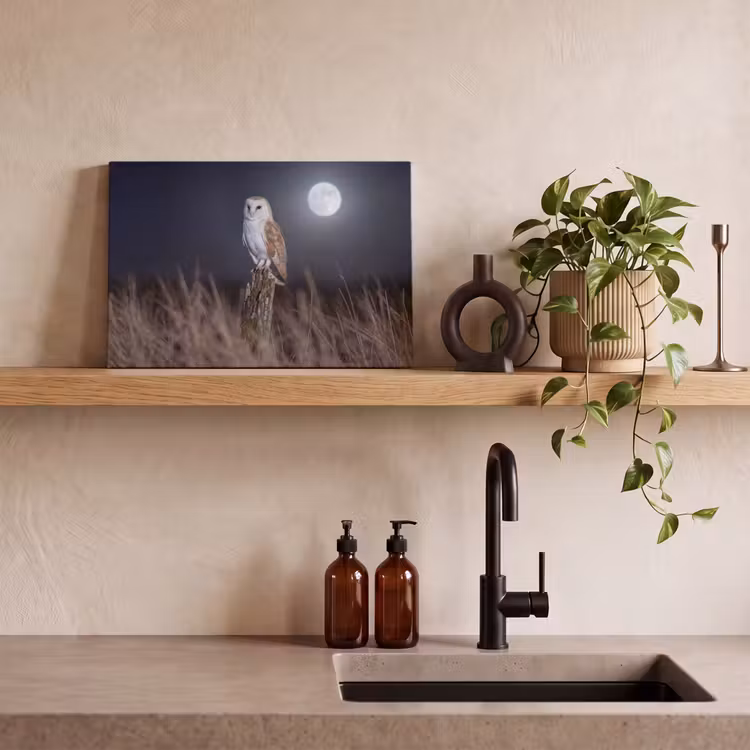 Kerkuil - Maan - Nacht canvas 2cm klein -closeup_print_DE