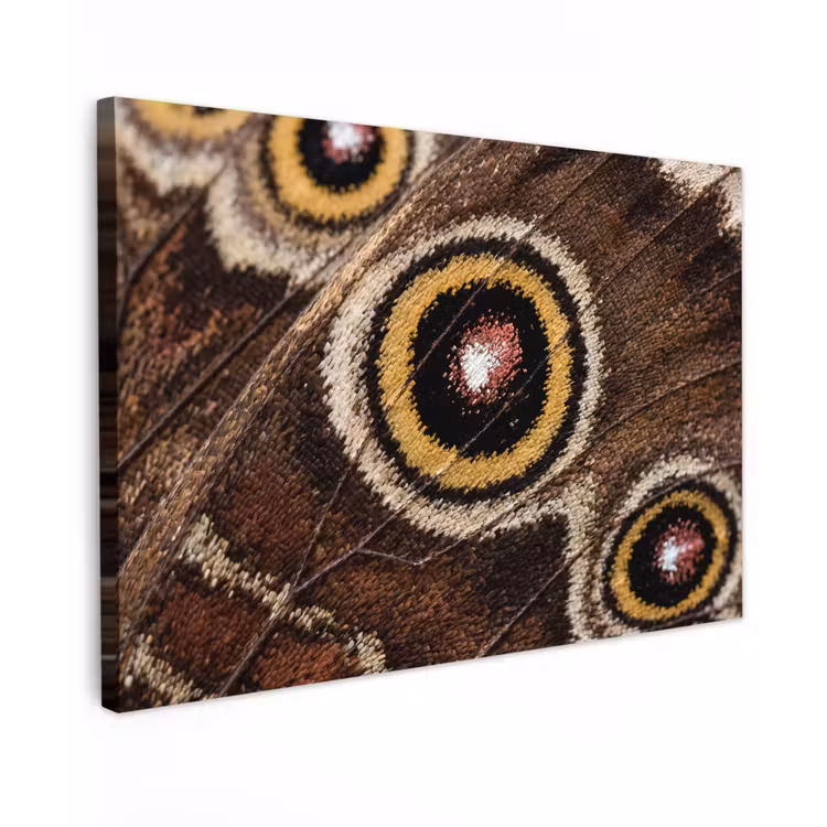 Vlinder - Vleugel - Abstract canvas 2cm klein -z3d